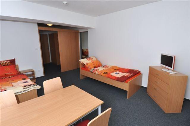 Sport Hotel Ticha Orlice Ústí nad Orlicí Quarto foto